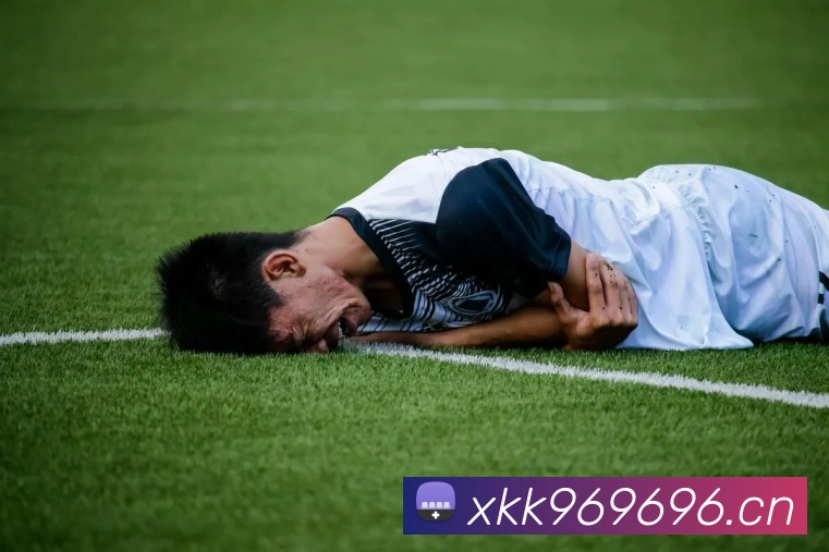球王会体育官网服务体系